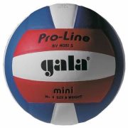 GALA Pro Line Mini libero lopta za odbojku, veličina 4