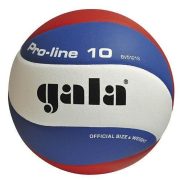 GALA Pro-Line BV-5121SH lopta za odbojku u mađarskim nacionalnim bojama – dio serije natjecateljskih lopti, glatka površina GALA Pro-Line BV-5121SH lopta za odbojku u mađarskim nacionalnim bojama – dio serije natjecateljskih lopti, glatka površina
