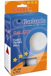 Garlando Galaxy *** lopte za stolni tenis 6 komada