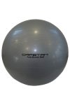 Capetan® Classic Gimnastička lopta u srebrnoj boji 65cm promjera